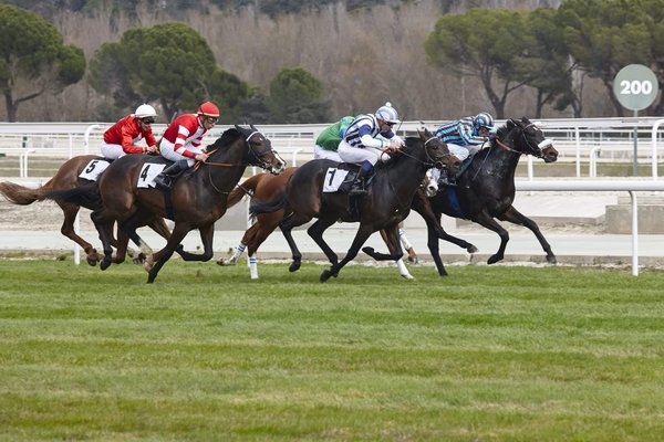 Quels sont les meilleurs moments du Prix d'Amérique PMU 2024 ?