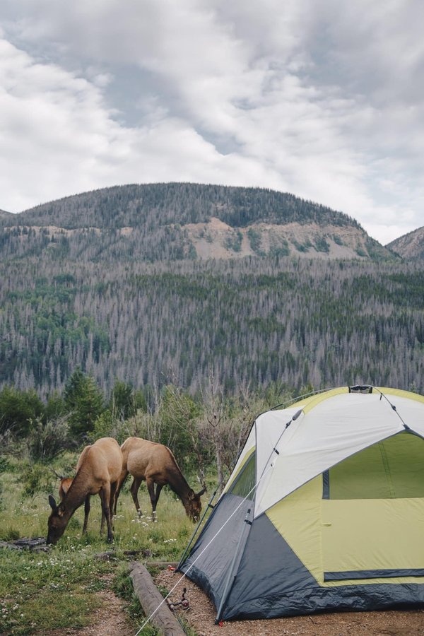 Quels sont les meilleurs endroits à visiter lors de votre séjour camping à Roquebrune sur Argens ?