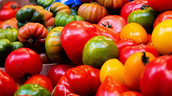 Les tomates : un ingrédient polyvalent à découvrir