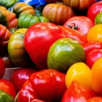 Les tomates : un ingrédient polyvalent à découvrir